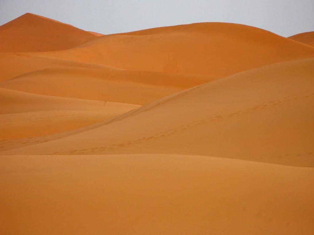 Maison Hassan Merzouga Eksteriør billede